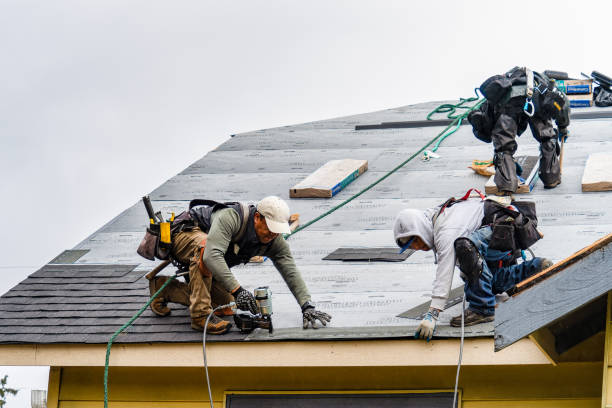 Professional Roofing technician working in Parshall, ND